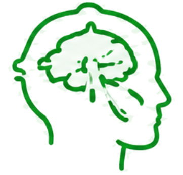 Stroke